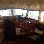 Seagull