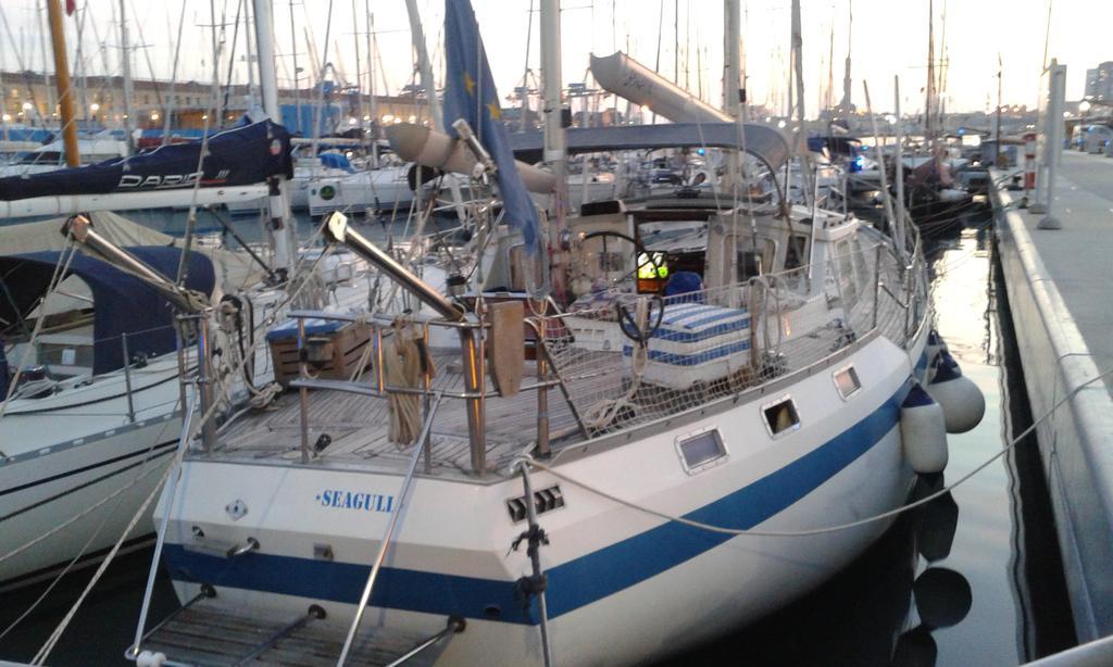 Seagull Genua